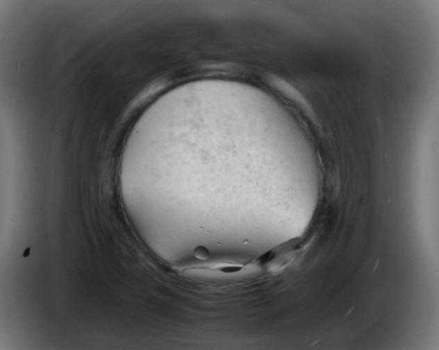 X0000086061411200704132008