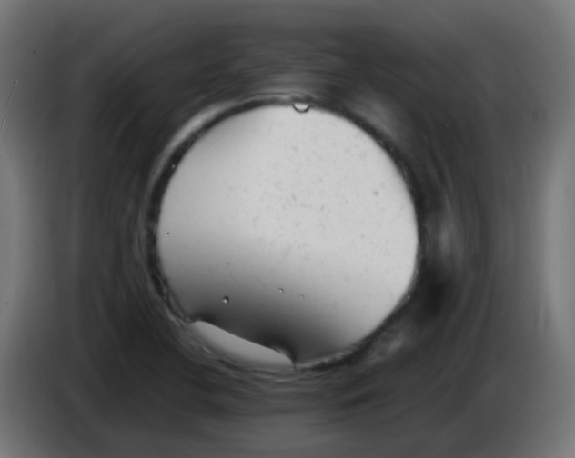 X0000086061412200704132008