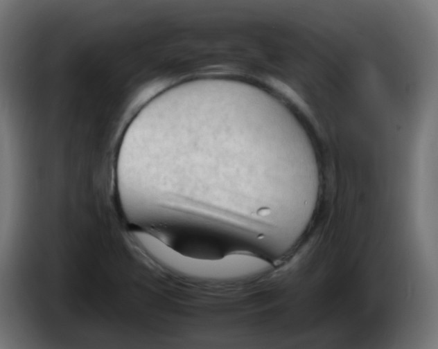 X0000086061413200704132008