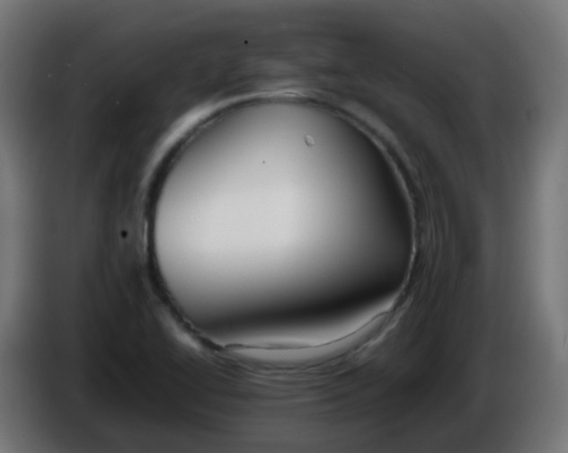 X0000086061414200704132008