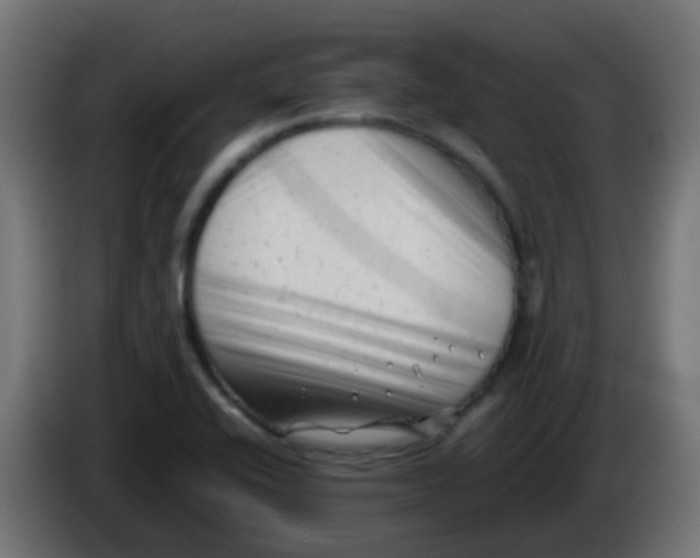 X0000086061416200704132008