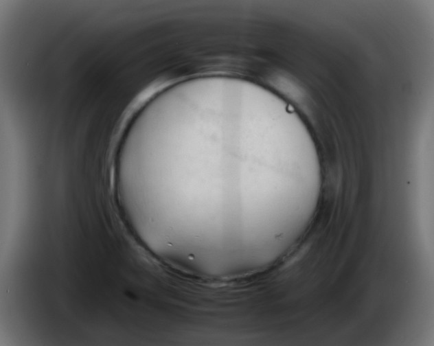 X0000086061419200704132008