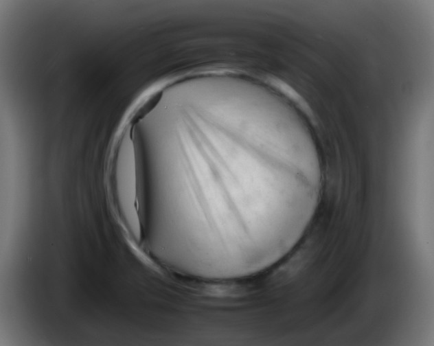 X0000086061421200704132008