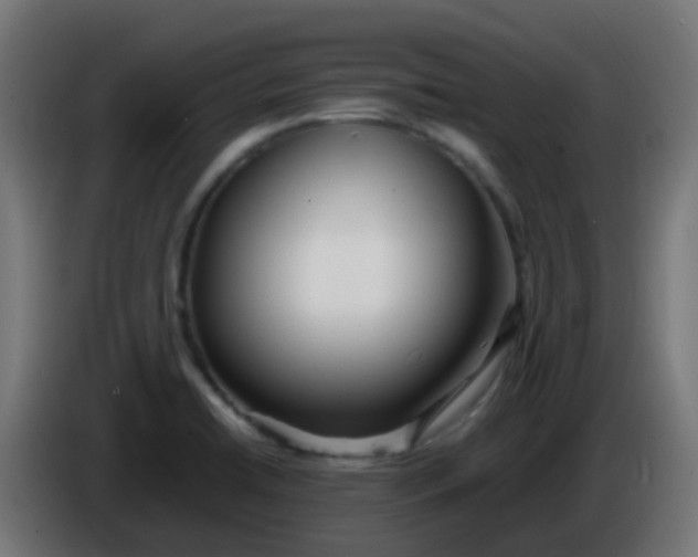 X0000086061422200704132008