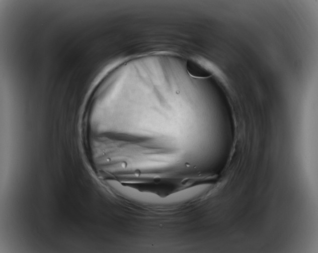 X0000086061423200704132008