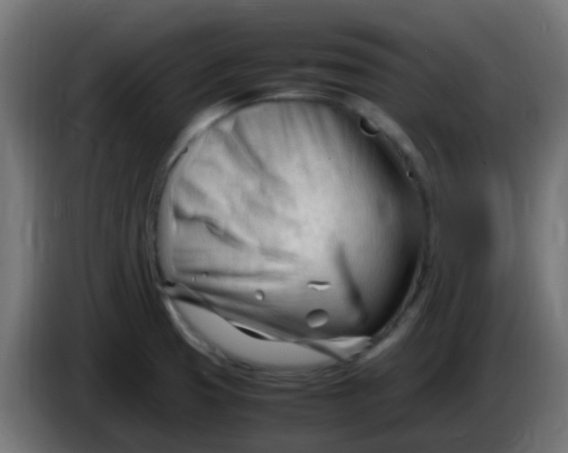 X0000086061425200704132008