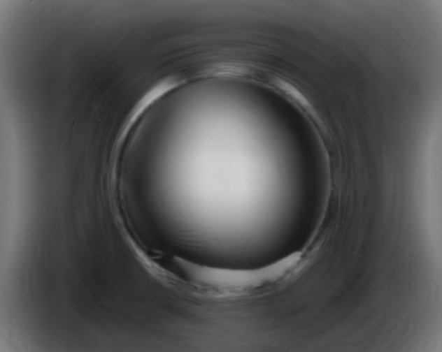 X0000086061426200704132008