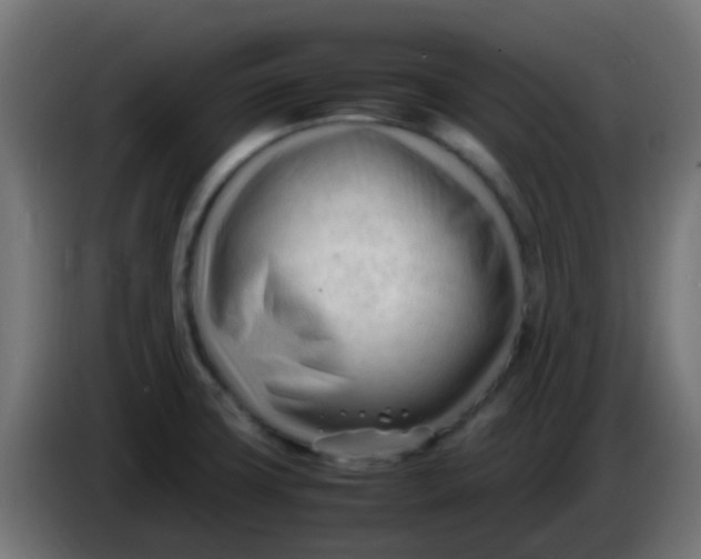 X0000086061427200704132008