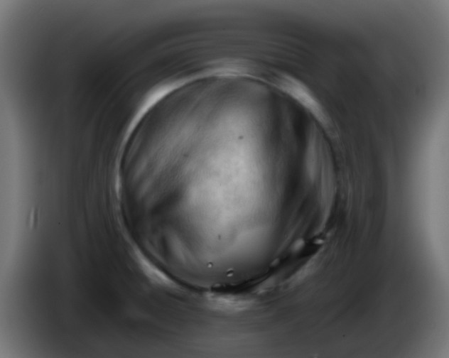 X0000086061428200704132008