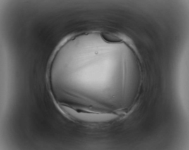 X0000086061429200704132008