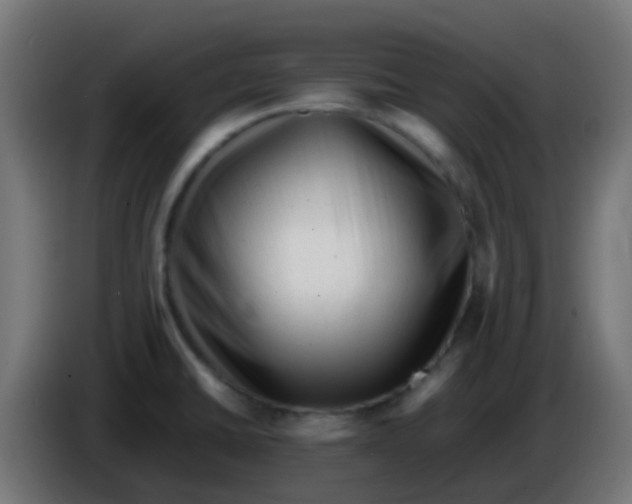 X0000086061430200704132008