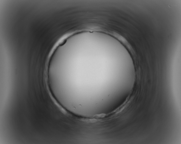 X0000086061432200704132008