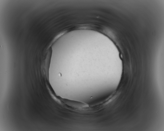 X0000086061433200704132008