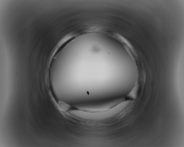 X0000086061434200704132008