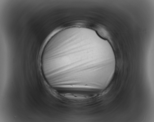 X0000086061435200704132008