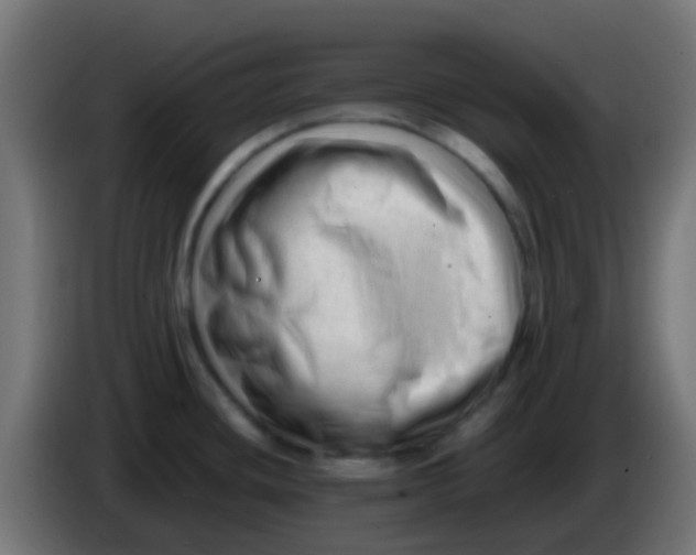 X0000086061436200704132008