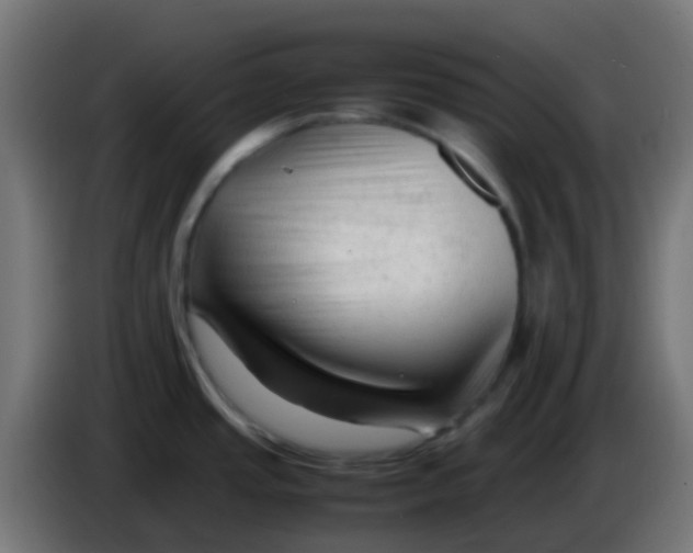 X0000086061437200704132008