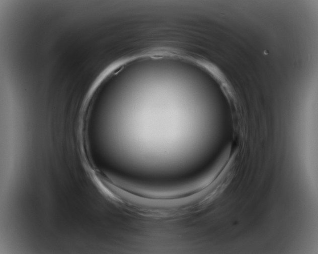 X0000086061438200704132008