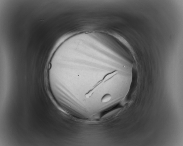 X0000086061440200704132008