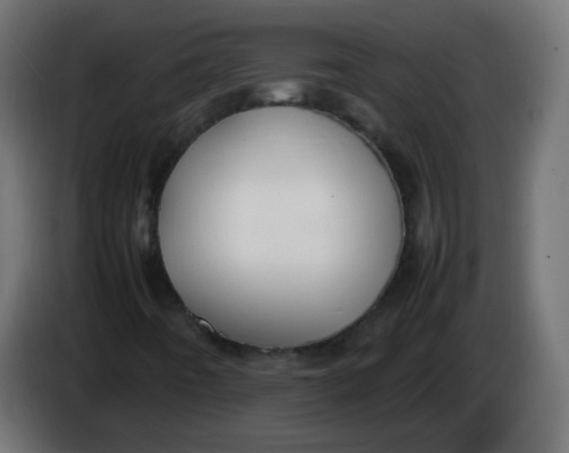 X0000086061442200704132008