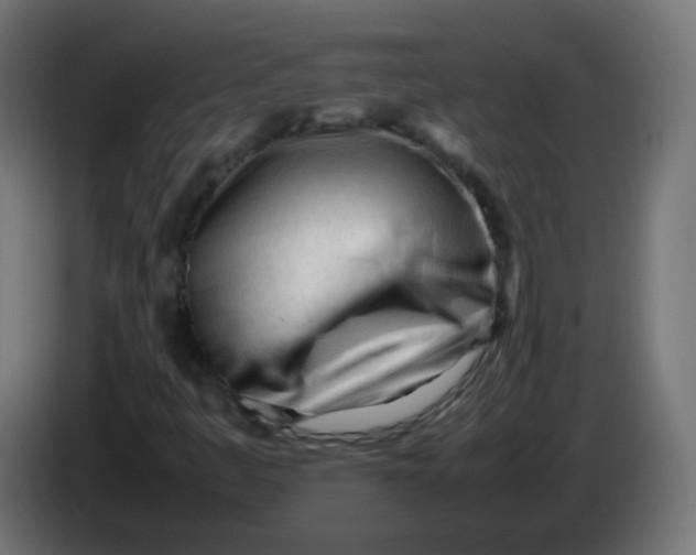 X0000086061445200704132008