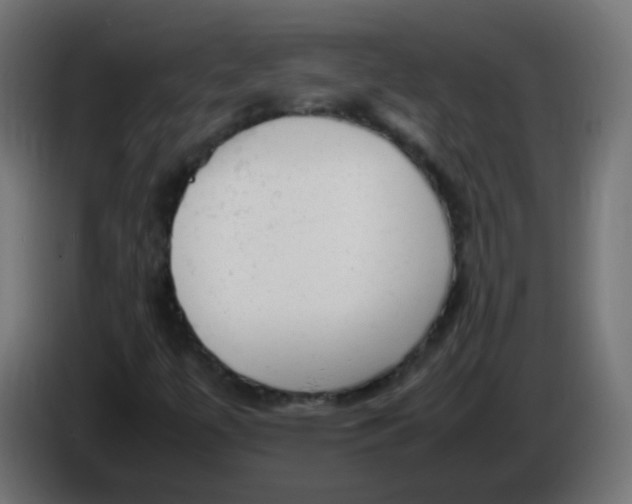 X0000086061447200704132008