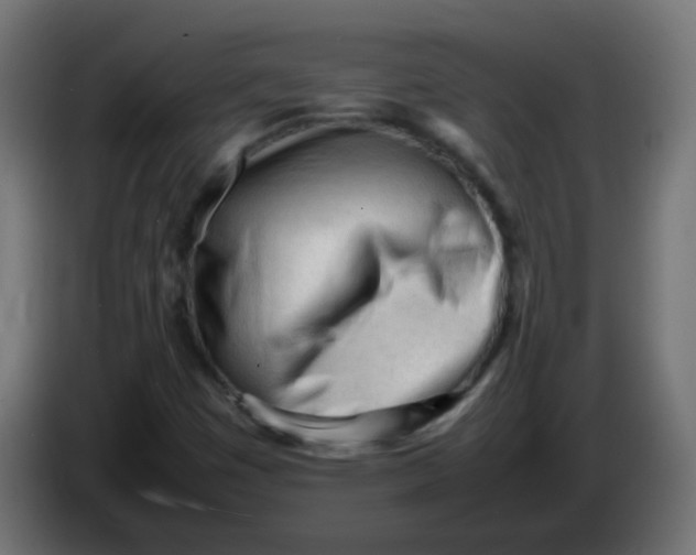 X0000086061449200704132007