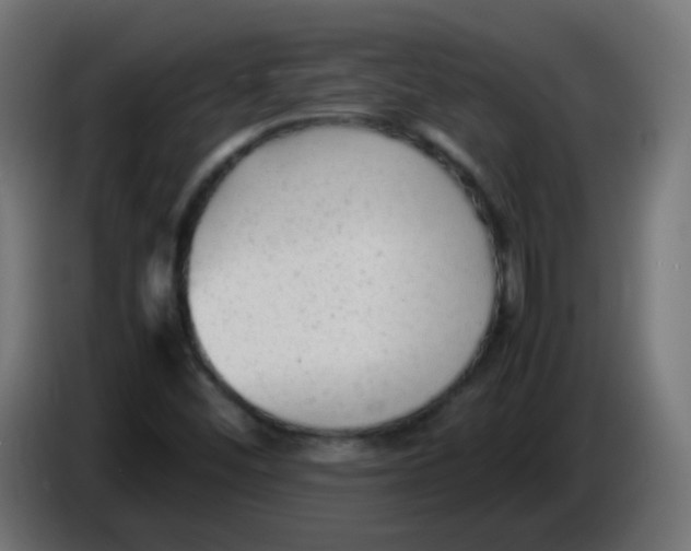 X0000086061452200704132007