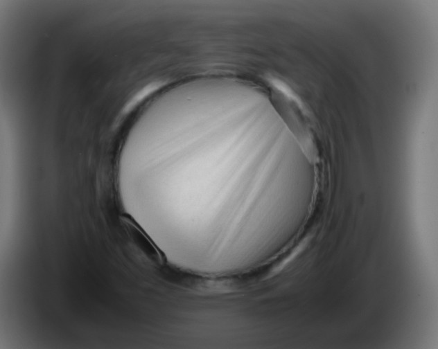 X0000086061453200704132007