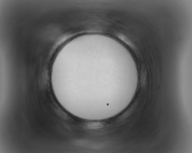 X0000086061454200704132007