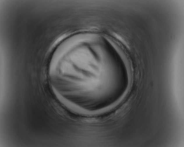 X0000086061455200704132007