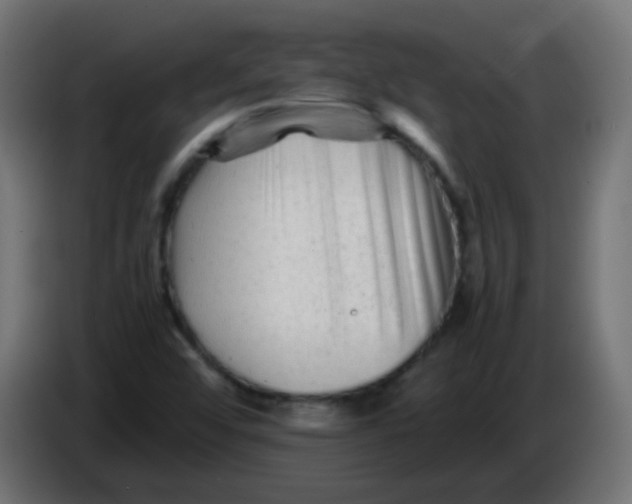 X0000086061456200704132007