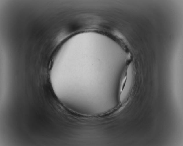 X0000086061457200704132007