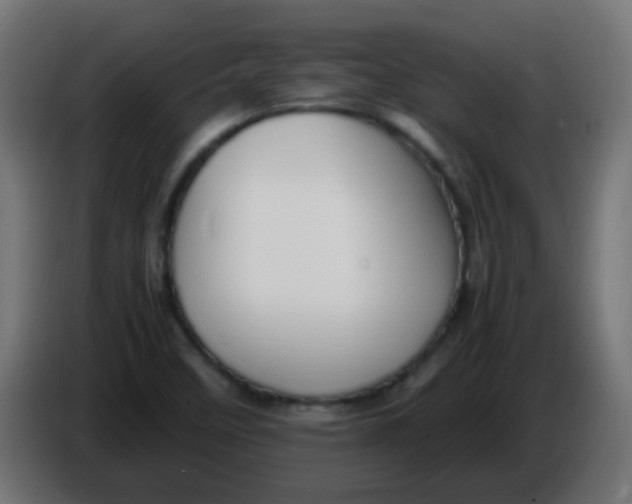 X0000086061458200704132007