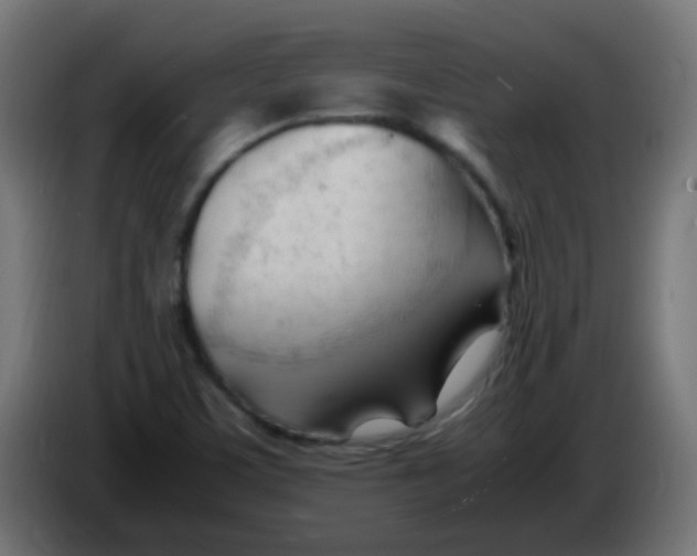 X0000086061459200704132007