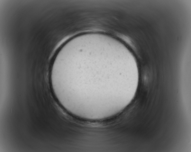 X0000086061460200704132007