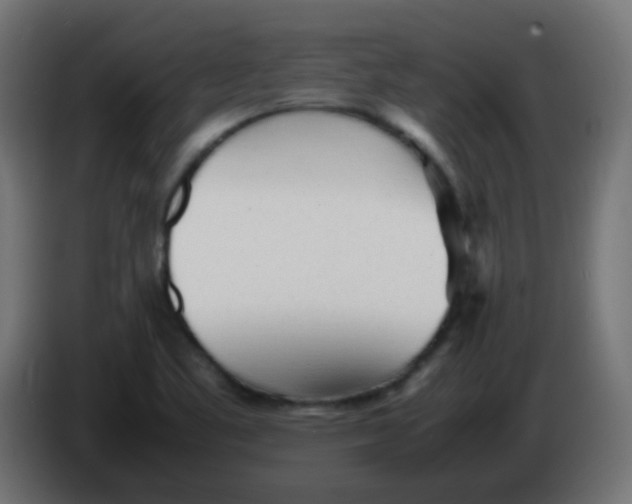 X0000086061461200704132007