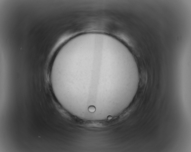 X0000086061462200704132007