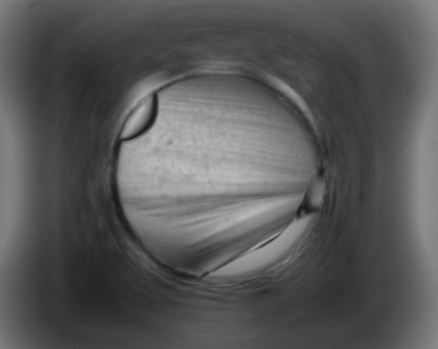 X0000086061463200704132007