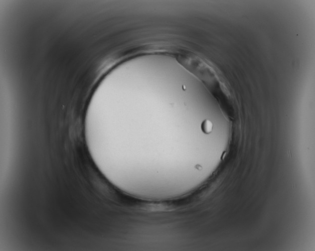 X0000086061465200704132007