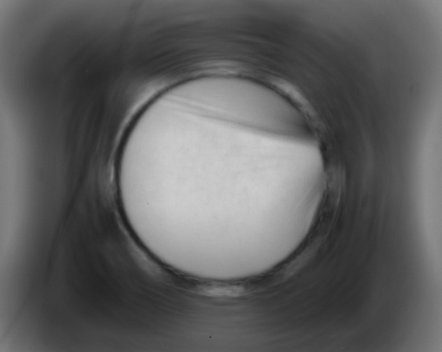 X0000086061466200704132007