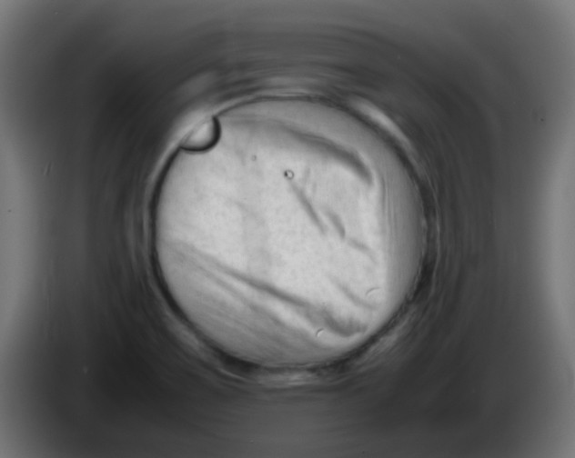 X0000086061467200704132007