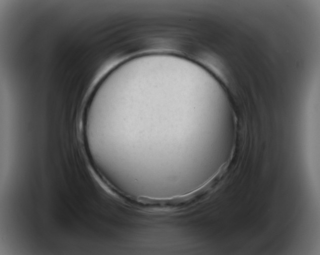 X0000086061468200704132007