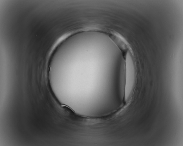 X0000086061469200704132007