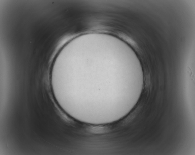 X0000086061470200704132007