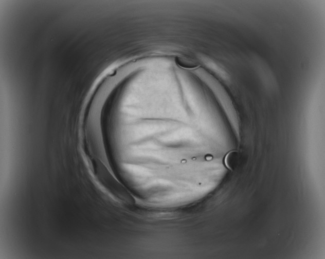 X0000086061471200704132007