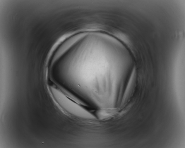 X0000086061472200704132007