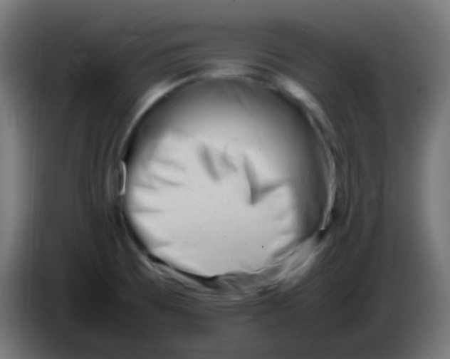 X0000086061473200704132007