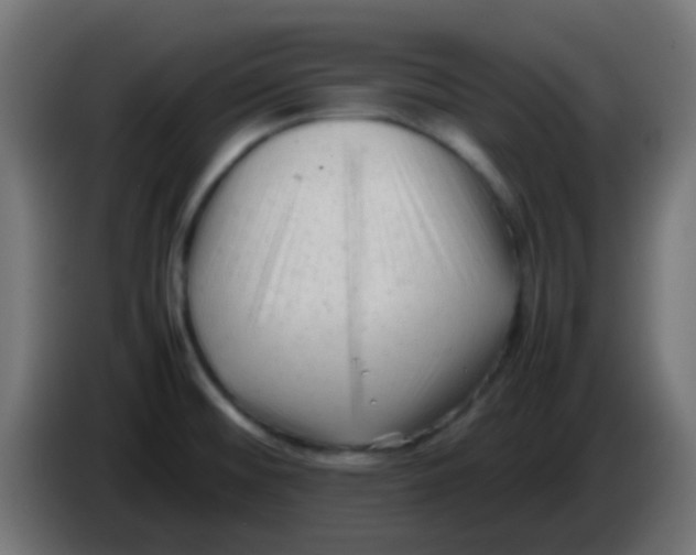 X0000086061476200704132007