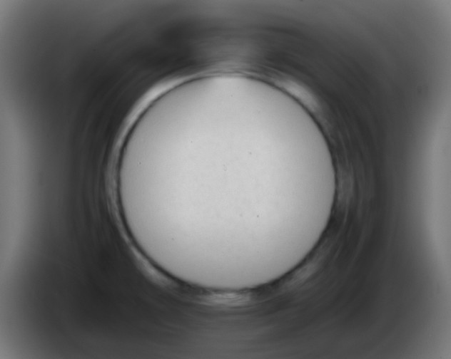 X0000086061478200704132007